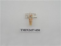 藏品(二斑叉紋苔蛾)的圖片